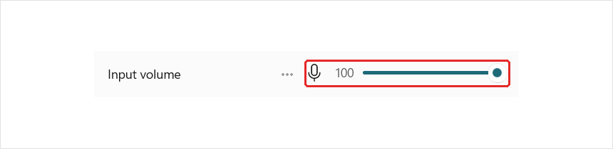 Input volume slider set to 100